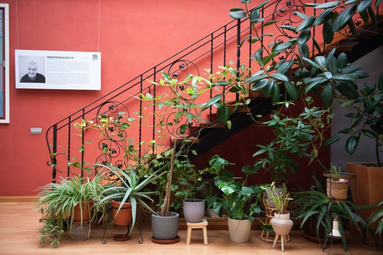 COWORKING GIE25-2-36
